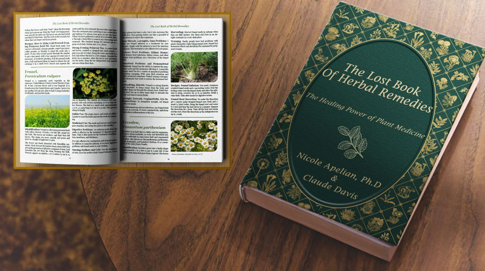 lost book of remedies download