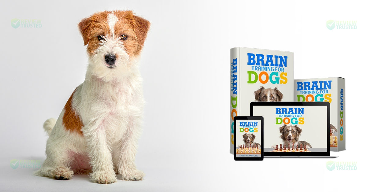 brain training dogs review