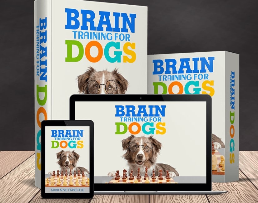 brain training for dogs download