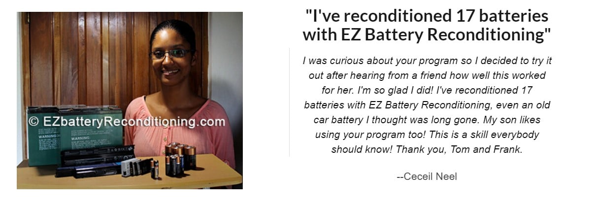 ez battery reconditioning review