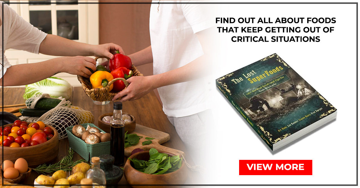 the lost superfoods book